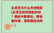 云灵芝与什么药材搭配(云灵芝如何搭配药材？顺应中医理论，降低副作用，发挥最佳功效！)