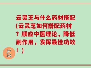 云灵芝与什么药材搭配(云灵芝如何搭配药材？顺应中医理论，降低副作用，发挥最佳功效！)