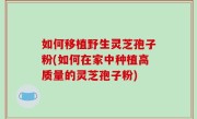 如何移植野生灵芝孢子粉(如何在家中种植高质量的灵芝孢子粉)