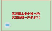 灵芝覆土多少钱一斤(灵芝价格一斤多少？)