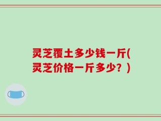 灵芝覆土多少钱一斤(灵芝价格一斤多少？)