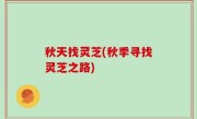 秋天找灵芝(秋季寻找灵芝之路)