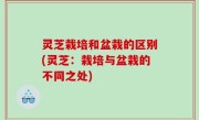 灵芝栽培和盆栽的区别(灵芝：栽培与盆栽的不同之处)