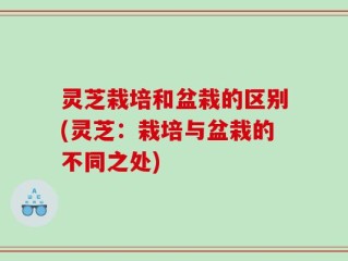 灵芝栽培和盆栽的区别(灵芝：栽培与盆栽的不同之处)