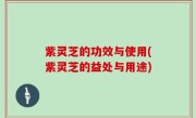 紫灵芝的功效与使用(紫灵芝的益处与用途)