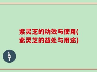 紫灵芝的功效与使用(紫灵芝的益处与用途)
