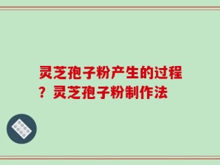 灵芝孢子粉产生的过程？灵芝孢子粉制作法