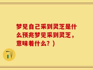 梦见自己采到灵芝是什么预兆梦见采到灵芝，意味着什么？)