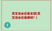 灵芝泡水还是足球(灵芝泡水还是踢球？)