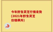 今年野生灵芝行情走势(2021年野生灵芝价格飙升)