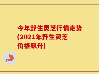 今年野生灵芝行情走势(2021年野生灵芝价格飙升)