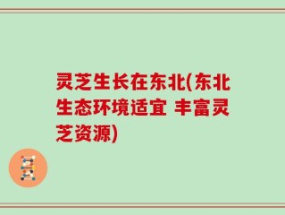 灵芝生长在东北(东北生态环境适宜 丰富灵芝资源)