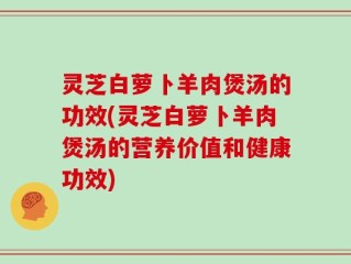 灵芝白萝卜羊肉煲汤的功效(灵芝白萝卜羊肉煲汤的营养价值和健康功效)