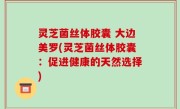 灵芝菌丝体胶囊 大边美罗(灵芝菌丝体胶囊：促进健康的天然选择)