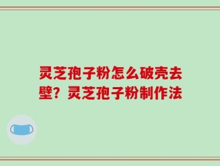 灵芝孢子粉怎么破壳去壁？灵芝孢子粉制作法