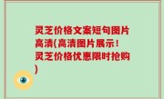 灵芝价格文案短句图片高清(高清图片展示！灵芝价格优惠限时抢购)