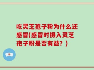 吃灵芝孢子粉为什么还感冒(感冒时摄入灵芝孢子粉是否有益？)