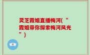 灵芝霞姐直播梅河(“霞姐带你探索梅河风光”)