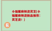 小福厘麻辣烫灵芝(小福厘麻辣烫新品推荐：灵芝烫！)