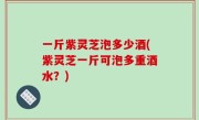 一斤紫灵芝泡多少酒(紫灵芝一斤可泡多重酒水？)