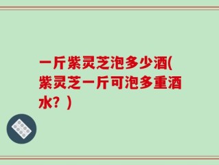 一斤紫灵芝泡多少酒(紫灵芝一斤可泡多重酒水？)