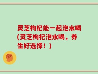 灵芝枸杞能一起泡水喝(灵芝枸杞泡水喝，养生好选择！)