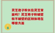 灵芝孢子粉长在灵芝背面吗？灵芝袍子粉破壁和不破壁的区别体现在哪些方面
