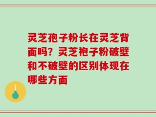 灵芝孢子粉长在灵芝背面吗？灵芝袍子粉破壁和不破壁的区别体现在哪些方面