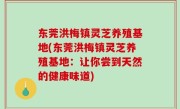 东莞洪梅镇灵芝养殖基地(东莞洪梅镇灵芝养殖基地：让你尝到天然的健康味道)