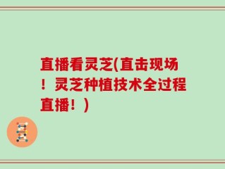 直播看灵芝(直击现场！灵芝种植技术全过程直播！)