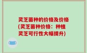 灵芝菌种的价格及价格(灵芝菌种价格：种植灵芝可行性大幅提升)
