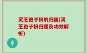 灵芝孢子粉的归属(灵芝孢子粉归属及功效解析)
