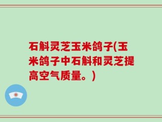 石斛灵芝玉米鸽子(玉米鸽子中石斛和灵芝提高空气质量。)