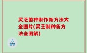 灵芝菌种制作新方法大全图片(灵芝制种新方法全图解)