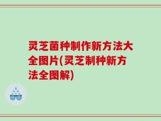 灵芝菌种制作新方法大全图片(灵芝制种新方法全图解)