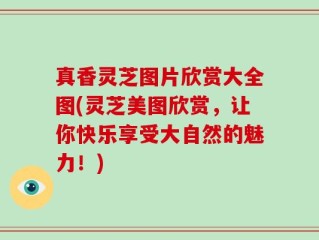 真香灵芝图片欣赏大全图(灵芝美图欣赏，让你快乐享受大自然的魅力！)