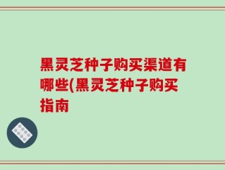 黑灵芝种子购买渠道有哪些(黑灵芝种子购买指南