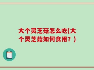 大个灵芝菇怎么吃(大个灵芝菇如何食用？)