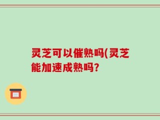 灵芝可以催熟吗(灵芝能加速成熟吗？
