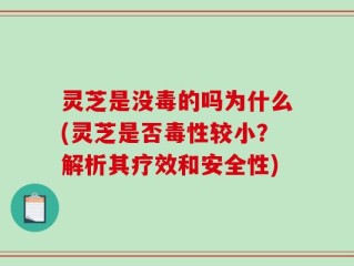 灵芝是没毒的吗为什么(灵芝是否毒性较小？解析其疗效和安全性)