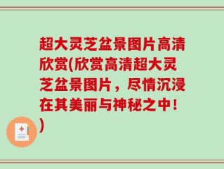 超大灵芝盆景图片高清欣赏(欣赏高清超大灵芝盆景图片，尽情沉浸在其美丽与神秘之中！)
