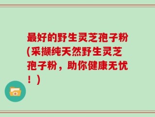 最好的野生灵芝孢子粉(采撷纯天然野生灵芝孢子粉，助你健康无忧！)