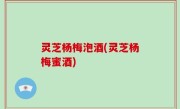 灵芝杨梅泡酒(灵芝杨梅蜜酒)