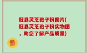 冠县灵芝孢子粉图片(冠县灵芝孢子粉实物图，助您了解产品质量)