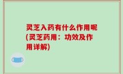 灵芝入药有什么作用呢(灵芝药用：功效及作用详解)