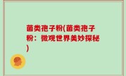 菌类孢子粉(菌类孢子粉：微观世界美妙探秘)