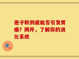 孢子粉到底能否引发胃痛？揭开，了解你的消化系统