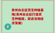 贵州白云区灵芝种植基地(贵州白云区打造灵芝种植园，促进当地经济发展)