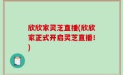 欣欣家灵芝直播(欣欣家正式开启灵芝直播！)