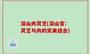 深山肉灵芝(深山宝：灵芝与肉的完美结合)